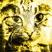 meowzeyz