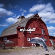 DolphinBarnInc