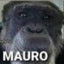 Mauro