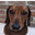 Group Avatar
