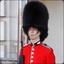 Queen&#039;s Royal Guard