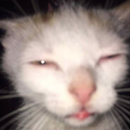 Kehi