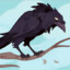 Crow °.•