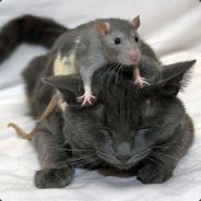Jay - steam id 76561197961166158