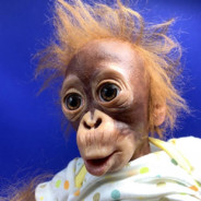 GORILLAPUNCH's Avatar