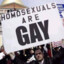 Homosexuals are GAY