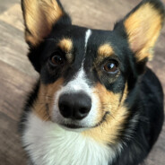 MrFinnegan