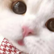 木示子