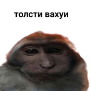 тапочки