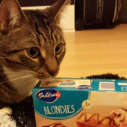 Blondie.-♥ Valorant