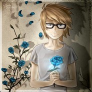 Raymanek007