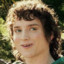 Fluppen Frodo