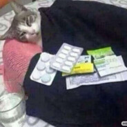 JustBuyChance's Avatar