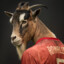 Cristiano Goatnaldo (W Rizz) spielt Counter-Strike: Global Offensive