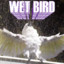 Wet Bird