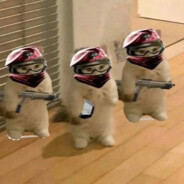 ppiOfficial's Avatar