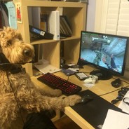 Doggy Style