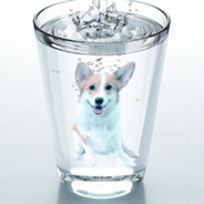 dogwater