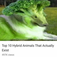 florp