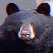 dan