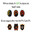 Group Avatar