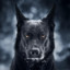 Dark Wolf