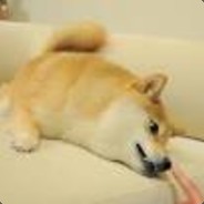 sweet dog