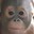 Group Avatar