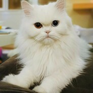 Lunesku