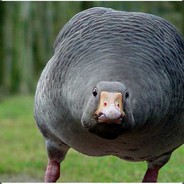 BigCluck