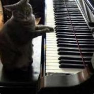 [Arg] DevastingLane's Avatar