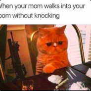 MARIJUANA_LUNG's Avatar