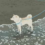 棕水带风's Avatar