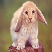 Аватар сообщества Steam