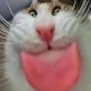 ChoChoNut