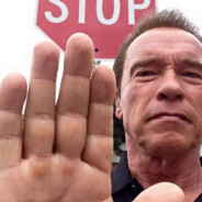 immer verfault mongo