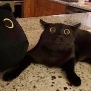 outside´s overrated