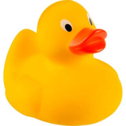 A Duck