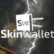 Skinwallet - email change