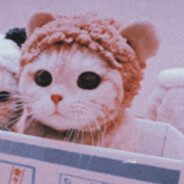 Catclub
