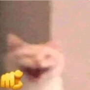 k1qu1