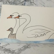 pswan