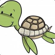 Tutle