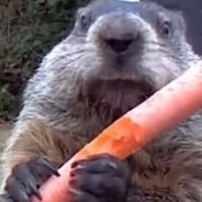 Bağlantısız's Avatar