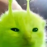 강로미