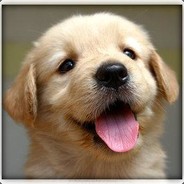 Puppy McBorkster