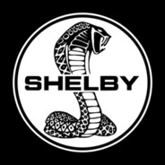 Shelby avatar