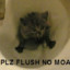 I_Flush_Kittens