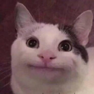 二十