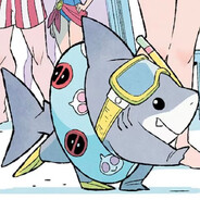 鲨鲨shark